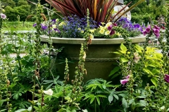 display_2