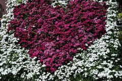 display_4