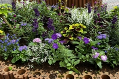 display_5