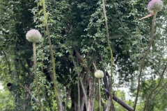 others_12