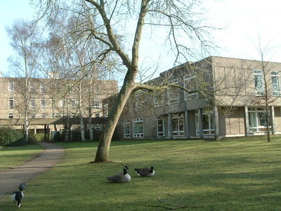 York Univ Dawent college 2.JPG