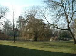 York Univ Garden.JPG