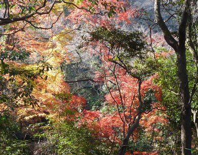 gongenyama3.JPG