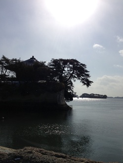 Matsushima1.JPG