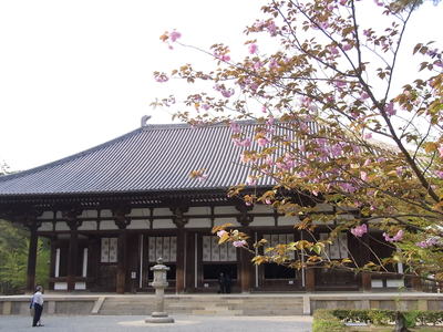 Toshodaiji3.JPG