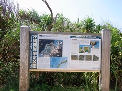 Okinawa267.jpg