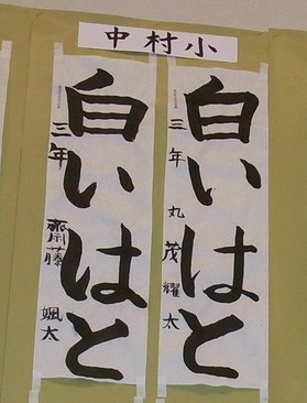 14shiroihato201101.JPG