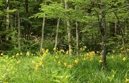 Kamikochi13.jpg