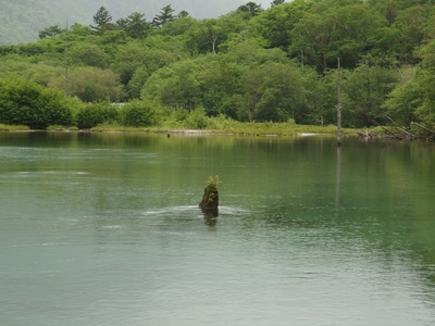 Kamikochi3.jpg