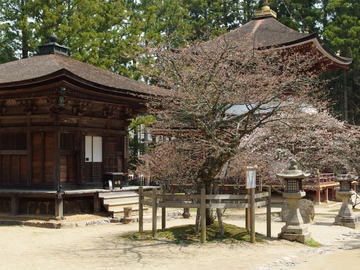 koyasan114 (2).jpg