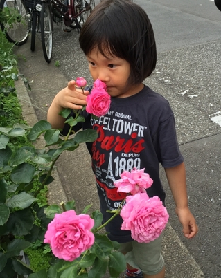 KumiFamily20150607_43.jpg
