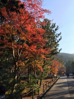 33_Kyoto_nanzenji.jpg