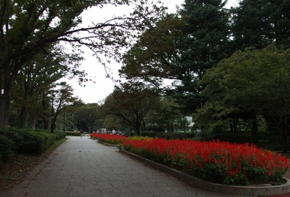 Tokyo_Musashino_47.jpg