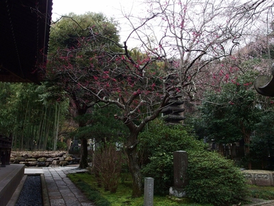 16_KamakuraAnkokuronji.jpg